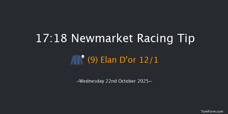 Newmarket 17-18 (Class 4) 7f Sat 11th Oct 2025