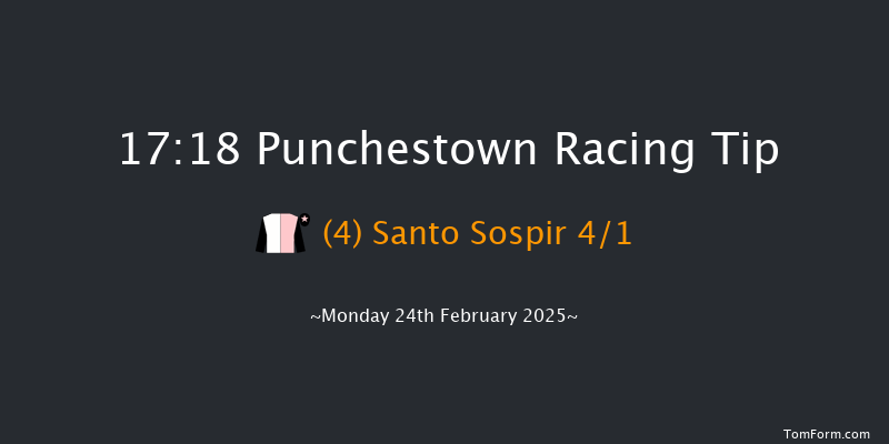 Punchestown  17:18 NH Flat Race 17f Fri 21st Feb 2025