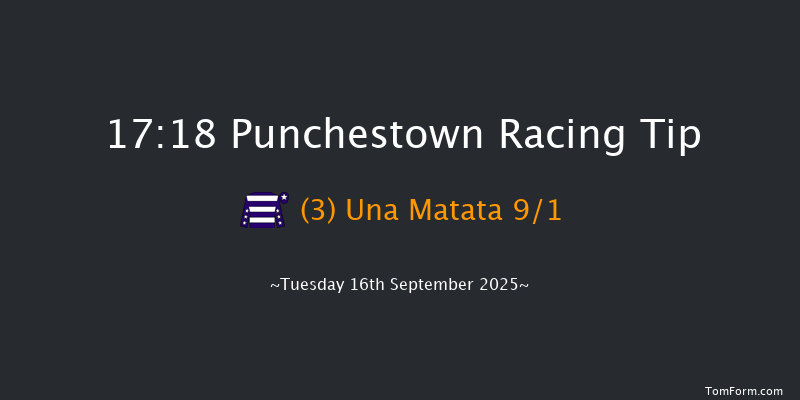 Punchestown 17-18 9f Sun 8th Jun 2025