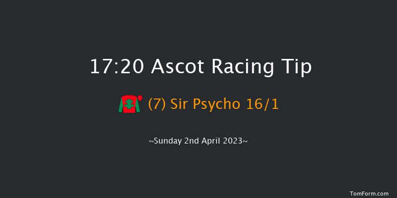 Ascot 17:20 Handicap Hurdle (Class 3) 22f Sat 18th Feb 2023