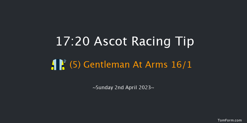 Ascot 17:20 Handicap Hurdle (Class 3) 22f Sat 18th Feb 2023