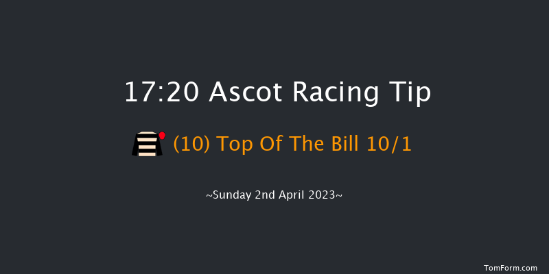 Ascot 17:20 Handicap Hurdle (Class 3) 22f Sat 18th Feb 2023