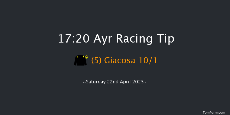 Ayr 17:20 NH Flat Race (Class 3) 16f Fri 21st Apr 2023