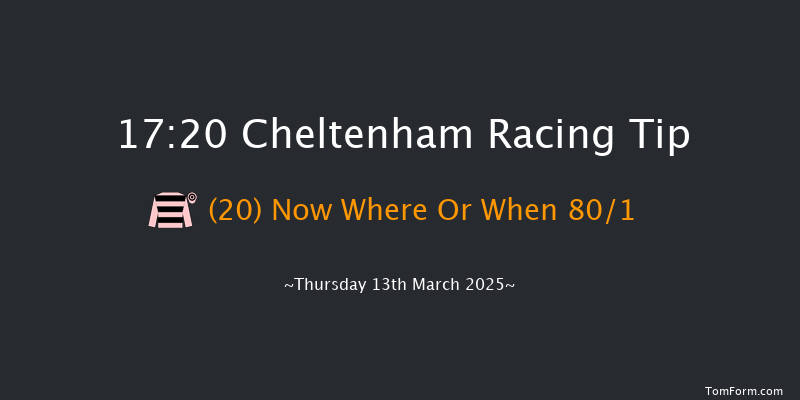 Cheltenham  17:20 Handicap Chase (Class 2) 26f Wed 12th Mar 2025