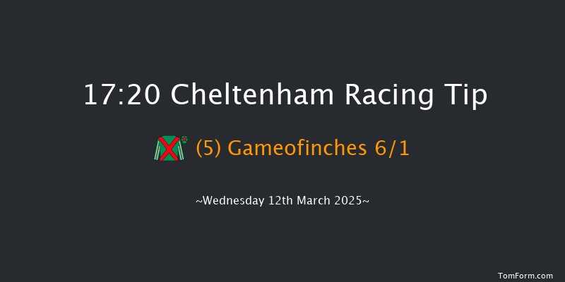 Cheltenham  17:20 NH Flat Race (Class 1) 16f Tue 11th Mar 2025