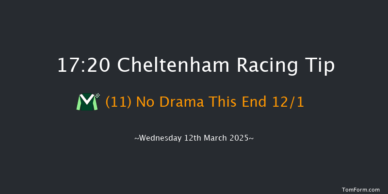 Cheltenham  17:20 NH Flat Race (Class 1) 16f Tue 11th Mar 2025