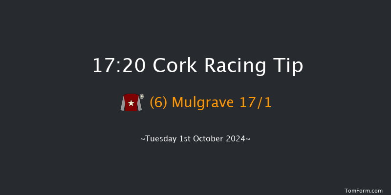 Cork  17:20 Handicap 8f Wed 11th Sep 2024