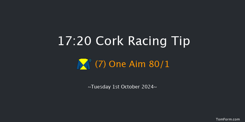 Cork  17:20 Handicap 8f Wed 11th Sep 2024