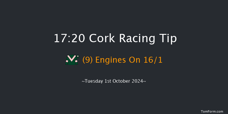 Cork  17:20 Handicap 8f Wed 11th Sep 2024