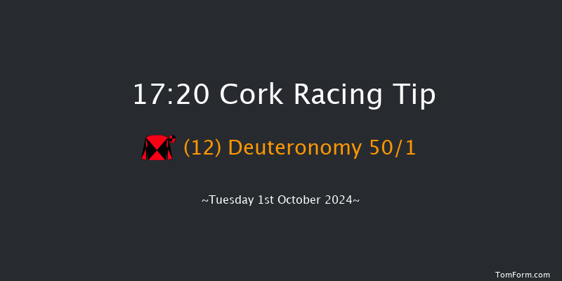 Cork  17:20 Handicap 8f Wed 11th Sep 2024