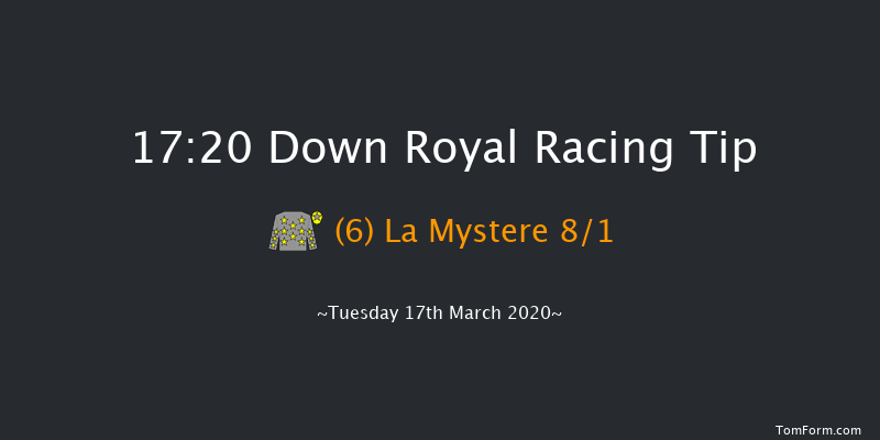 Johnston Houston Mares Flat Race Down Royal 17:20 NH Flat Race 17f Tue 28th Jan 2020