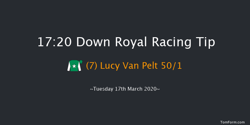 Johnston Houston Mares Flat Race Down Royal 17:20 NH Flat Race 17f Tue 28th Jan 2020