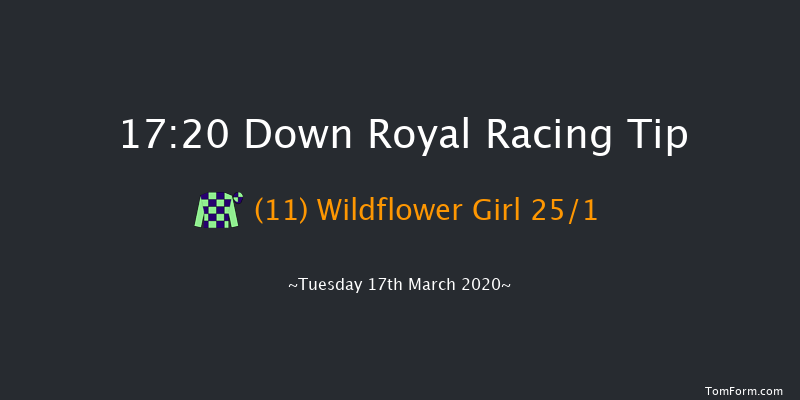 Johnston Houston Mares Flat Race Down Royal 17:20 NH Flat Race 17f Tue 28th Jan 2020