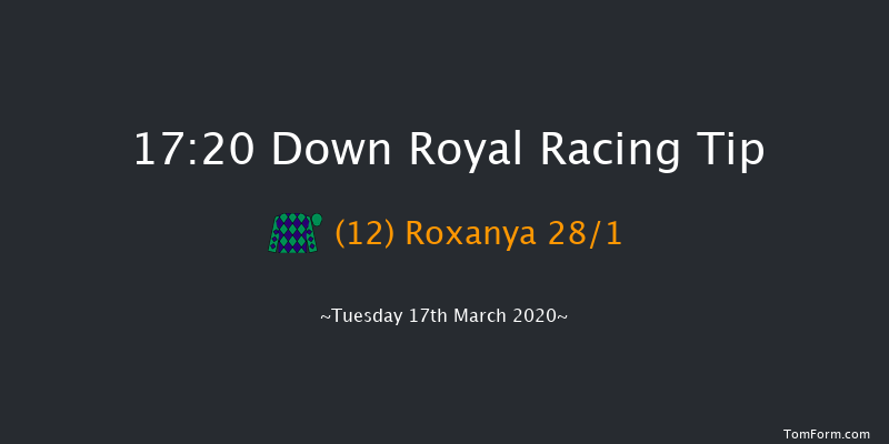 Johnston Houston Mares Flat Race Down Royal 17:20 NH Flat Race 17f Tue 28th Jan 2020