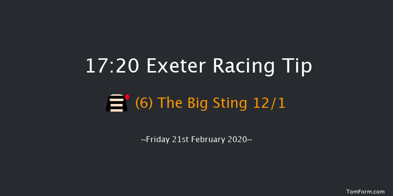 Be Wiser Insurance Standard Open NH Flat Race Exeter 17:20 NH Flat Race (Class 5) 17f Tue 21st Jan 2020
