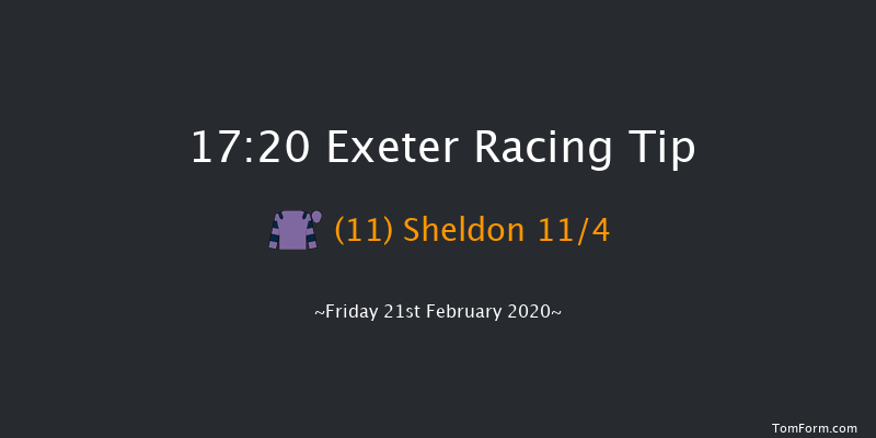 Be Wiser Insurance Standard Open NH Flat Race Exeter 17:20 NH Flat Race (Class 5) 17f Tue 21st Jan 2020