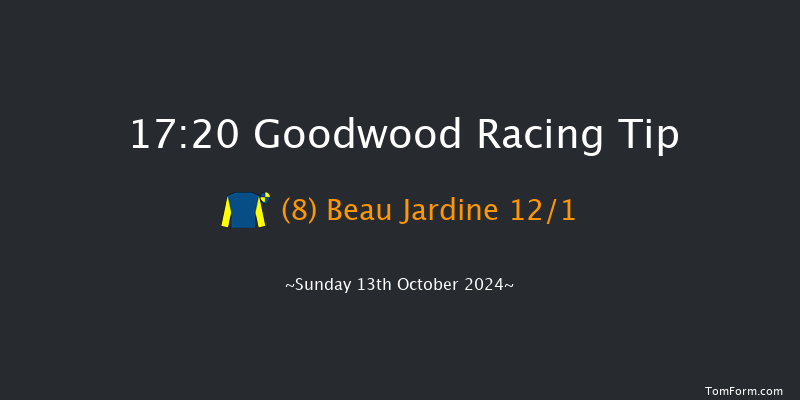Goodwood  17:20 Handicap (Class 4) 8f Wed 25th Sep 2024
