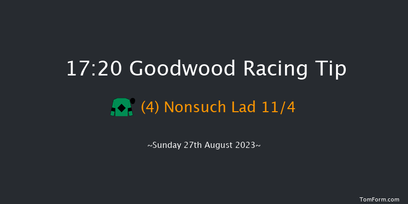 Goodwood 17:20 Handicap (Class 5) 9f Sat 26th Aug 2023