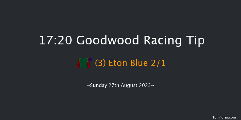 Goodwood 17:20 Handicap (Class 5) 9f Sat 26th Aug 2023