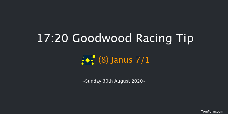 Gay Kindersley Amateur Jockeys' Handicap (Div 2) Goodwood 17:20 Handicap (Class 5) 9f Sat 29th Aug 2020