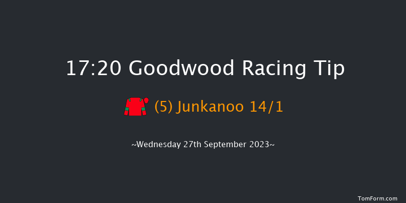 Goodwood 17:20 Handicap (Class 4) 9f Tue 5th Sep 2023