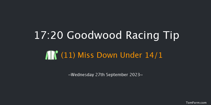 Goodwood 17:20 Handicap (Class 4) 9f Tue 5th Sep 2023
