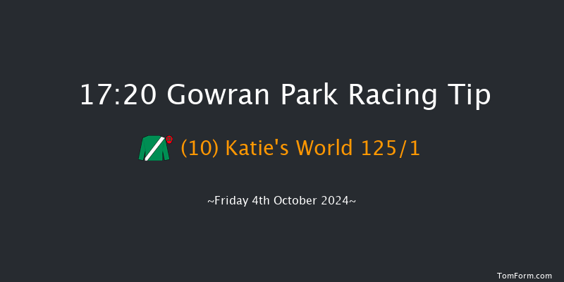 Gowran Park  17:20 NH Flat Race 16f Sat 21st Sep 2024