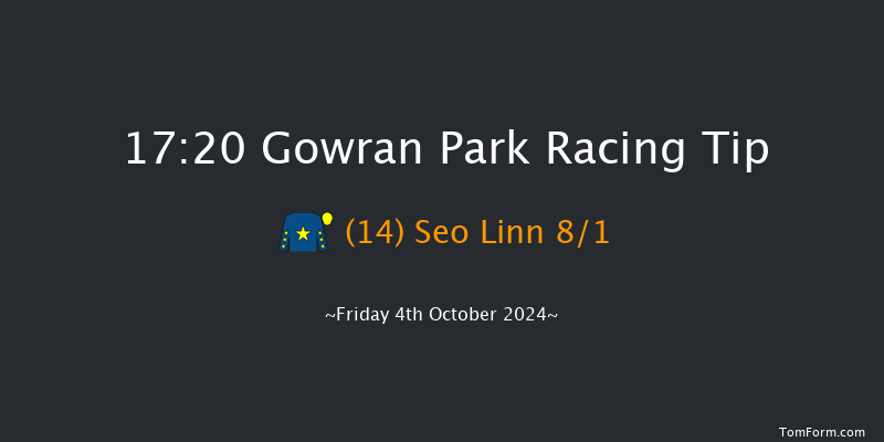 Gowran Park  17:20 NH Flat Race 16f Sat 21st Sep 2024