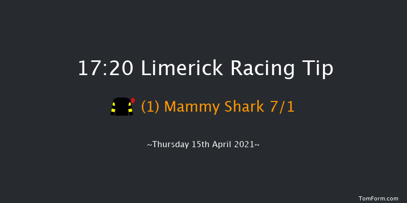 Newcastlewest Handicap Hurdle (80-95) (Div 2) Limerick 17:20 Handicap Hurdle 21f Sun 28th Mar 2021