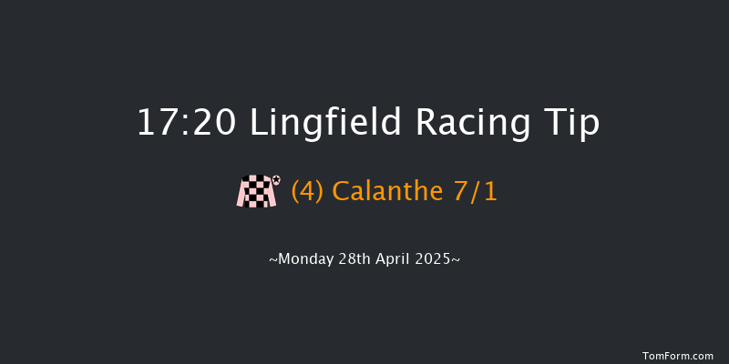 Lingfield 17-20 (Class 5) 8f Wed 23rd Apr 2025