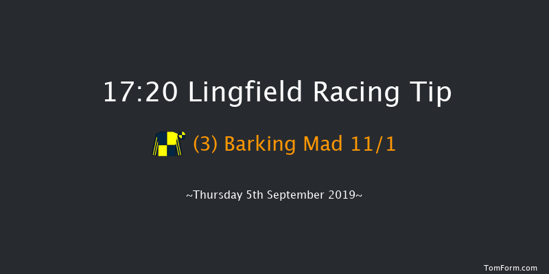Lingfield 17:20 Stakes (Class 5) 5f Sat 31st Aug 2019