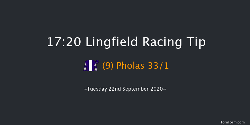 Betway Novice Stakes Lingfield 17:20 Stakes (Class 5) 10f Mon 14th Sep 2020