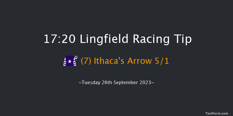 Lingfield 17:20 Handicap (Class 5) 10f Sat 16th Sep 2023