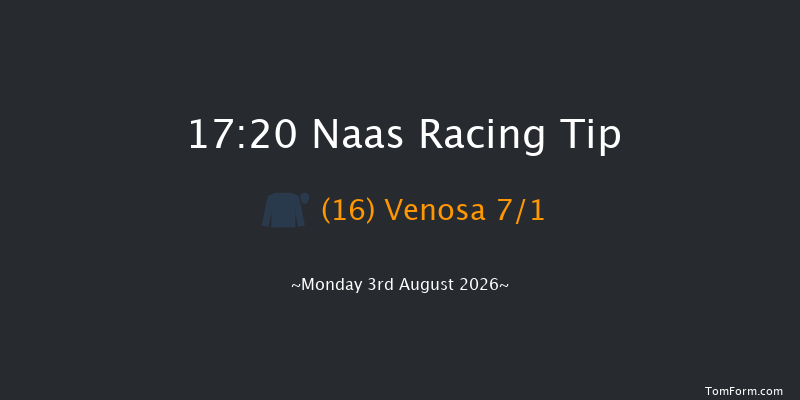 Naas 17-20 8f Wed 22nd Jul 2026