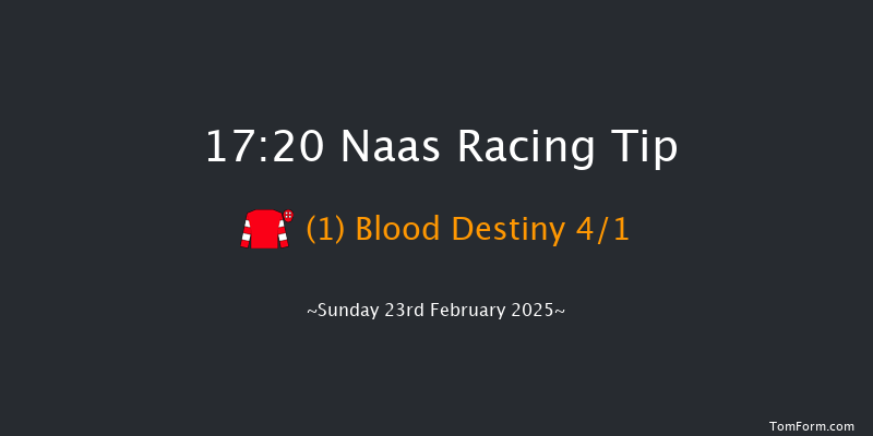 Naas  17:20 Conditions Chase 16f Sat 8th Feb 2025