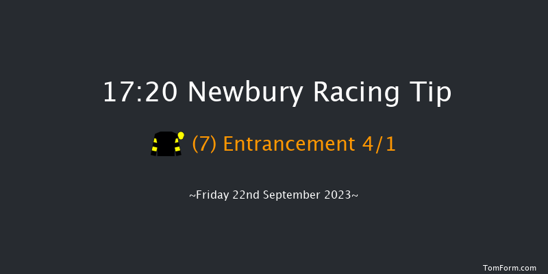 Newbury 17:20 Handicap (Class 4) 10f Tue 29th Aug 2023