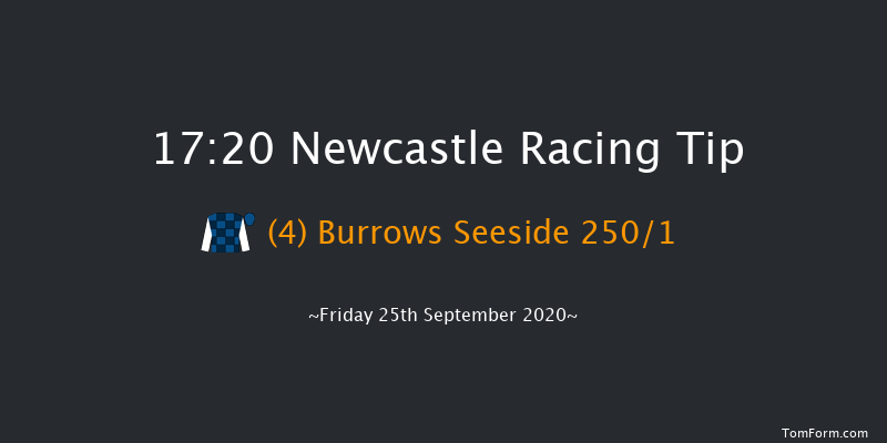Visit attheraces.com Novice Stakes Newcastle 17:20 Stakes (Class 5) 6f Tue 22nd Sep 2020