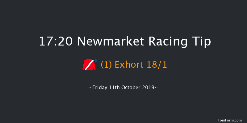 Newmarket 17:20 Group 3 (Class 1) 10f Sat 5th Oct 2019