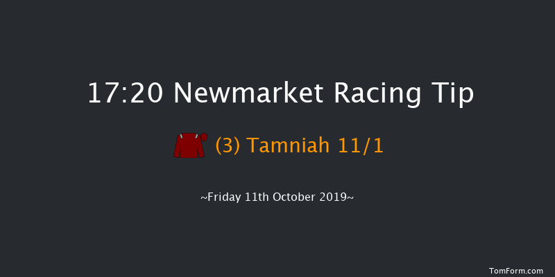 Newmarket 17:20 Group 3 (Class 1) 10f Sat 5th Oct 2019
