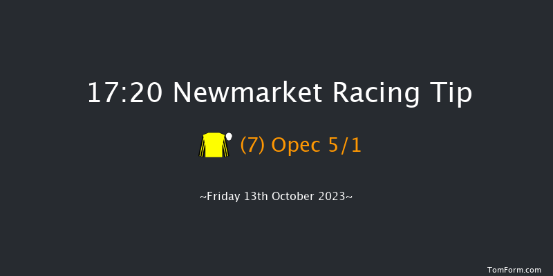 Newmarket 17:20 Maiden (Class 3) 7f Sat 7th Oct 2023