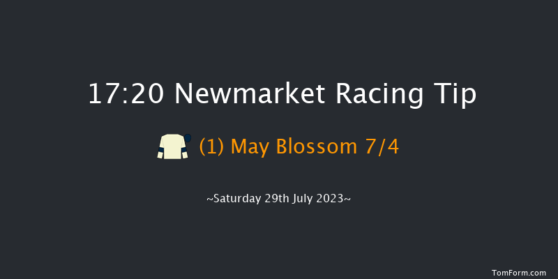 Newmarket 17:20 Handicap (Class 5) 5f Fri 28th Jul 2023
