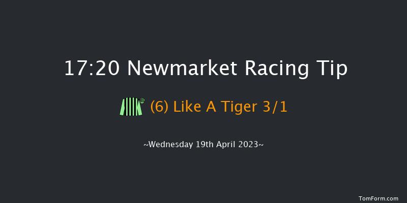 Newmarket 17:20 Handicap (Class 3) 10f Tue 18th Apr 2023