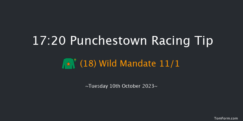 Punchestown 17:20 NH Flat Race 17f Wed 13th Sep 2023