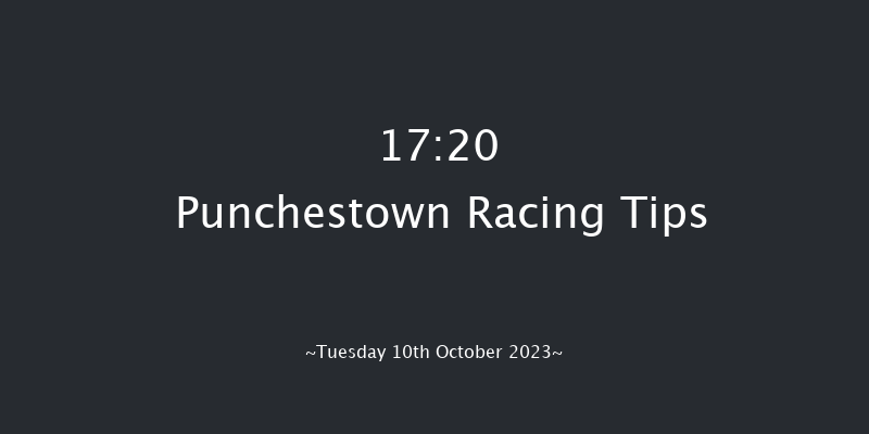 Punchestown 17:20 NH Flat Race 17f Wed 13th Sep 2023