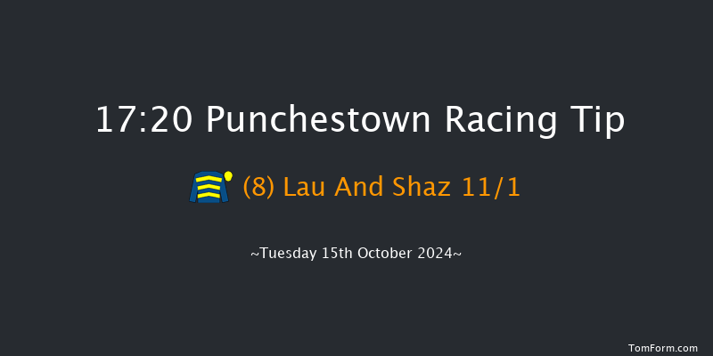 Punchestown  17:20 NH Flat Race 16f Tue 17th Sep 2024
