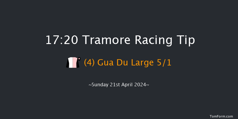 Tramore  17:20 Maiden Chase 16f Mon 1st Jan 2024