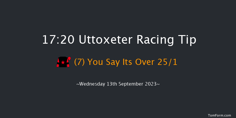 Uttoxeter 17:20 Handicap Hurdle (Class 5) 23f Wed 30th Aug 2023