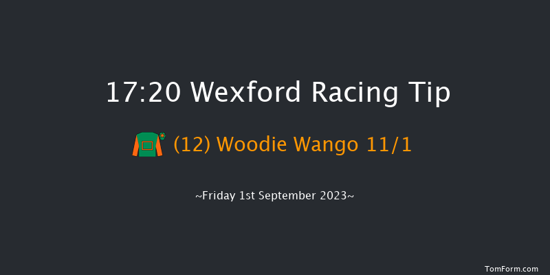 Wexford 17:20 Handicap Hurdle 20f Fri 11th Aug 2023