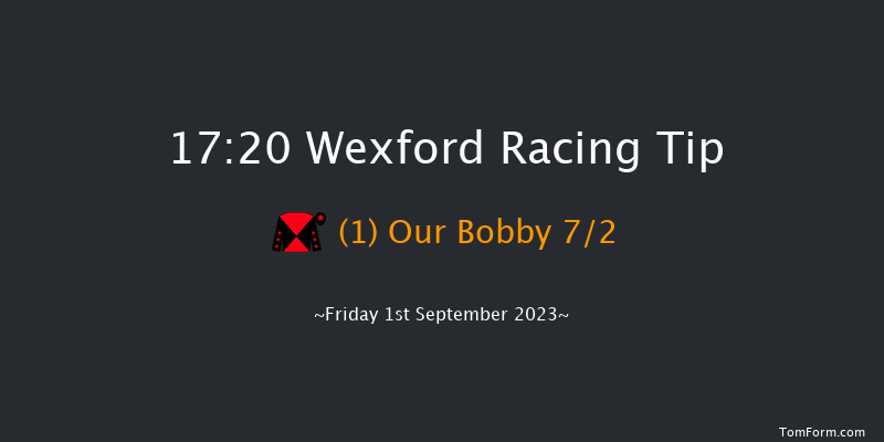 Wexford 17:20 Handicap Hurdle 20f Fri 11th Aug 2023