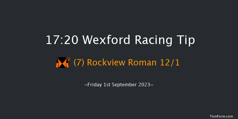 Wexford 17:20 Handicap Hurdle 20f Fri 11th Aug 2023